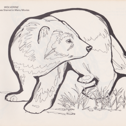 Game Farm coloring book illustration