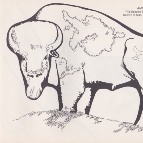 Game Farm coloring book illustration