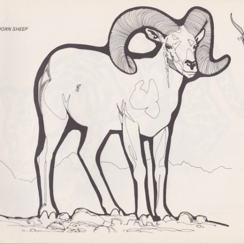 Game Farm coloring book illustration