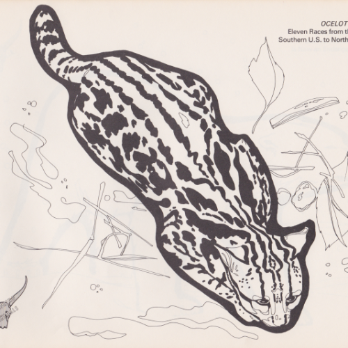 Game Farm coloring book illustration