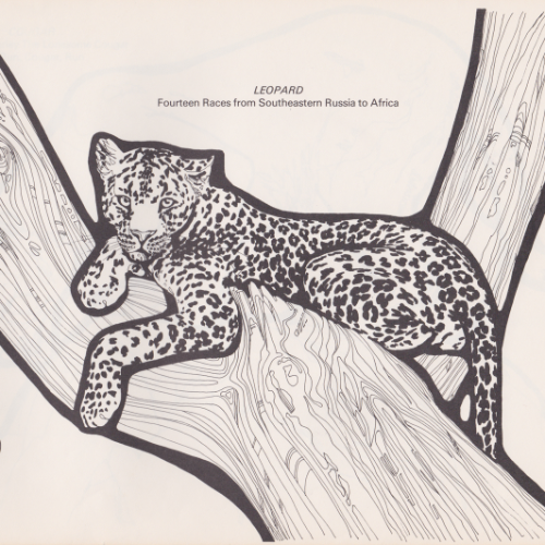 Game Farm coloring book illustration