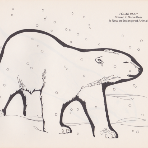 Game Farm coloring book illustration