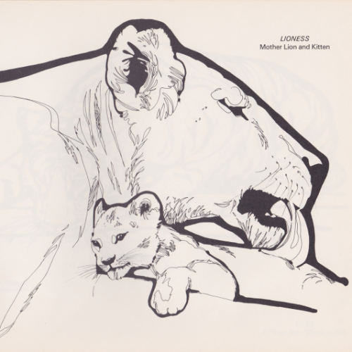 Game Farm coloring book illustration