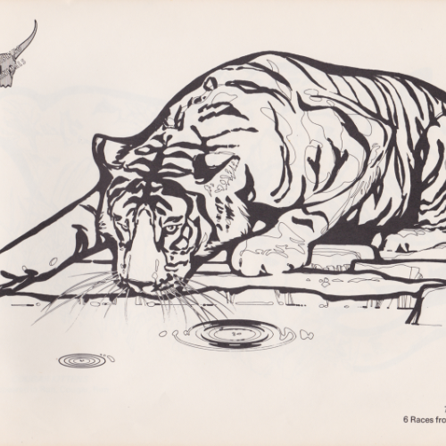 Game Farm coloring book illustration