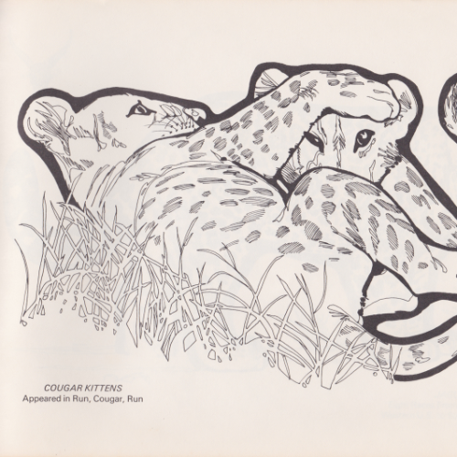 Game Farm coloring book illustration