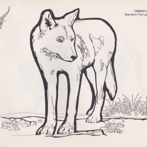 Game Farm coloring book illustration