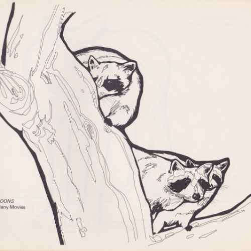 Game Farm coloring book illustration