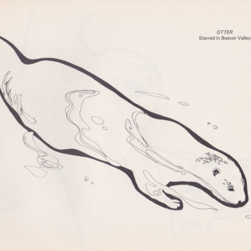 Game Farm coloring book illustration