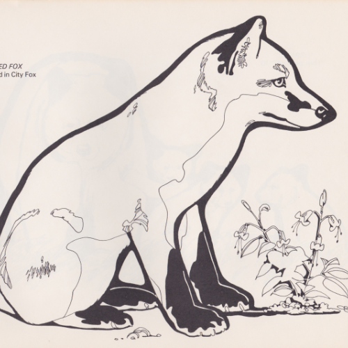 Game Farm coloring book illustration