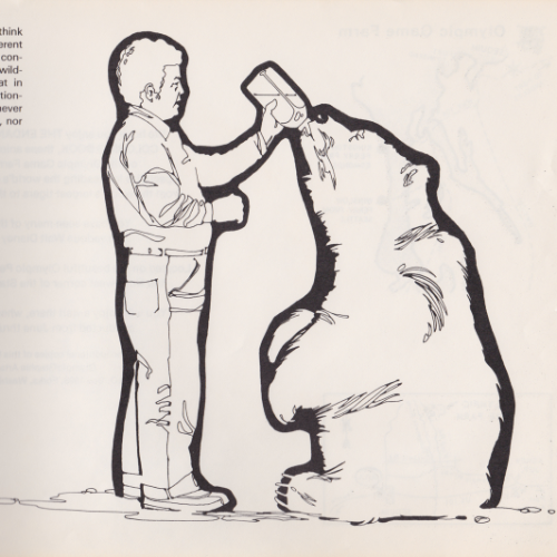 Game Farm coloring book illustration