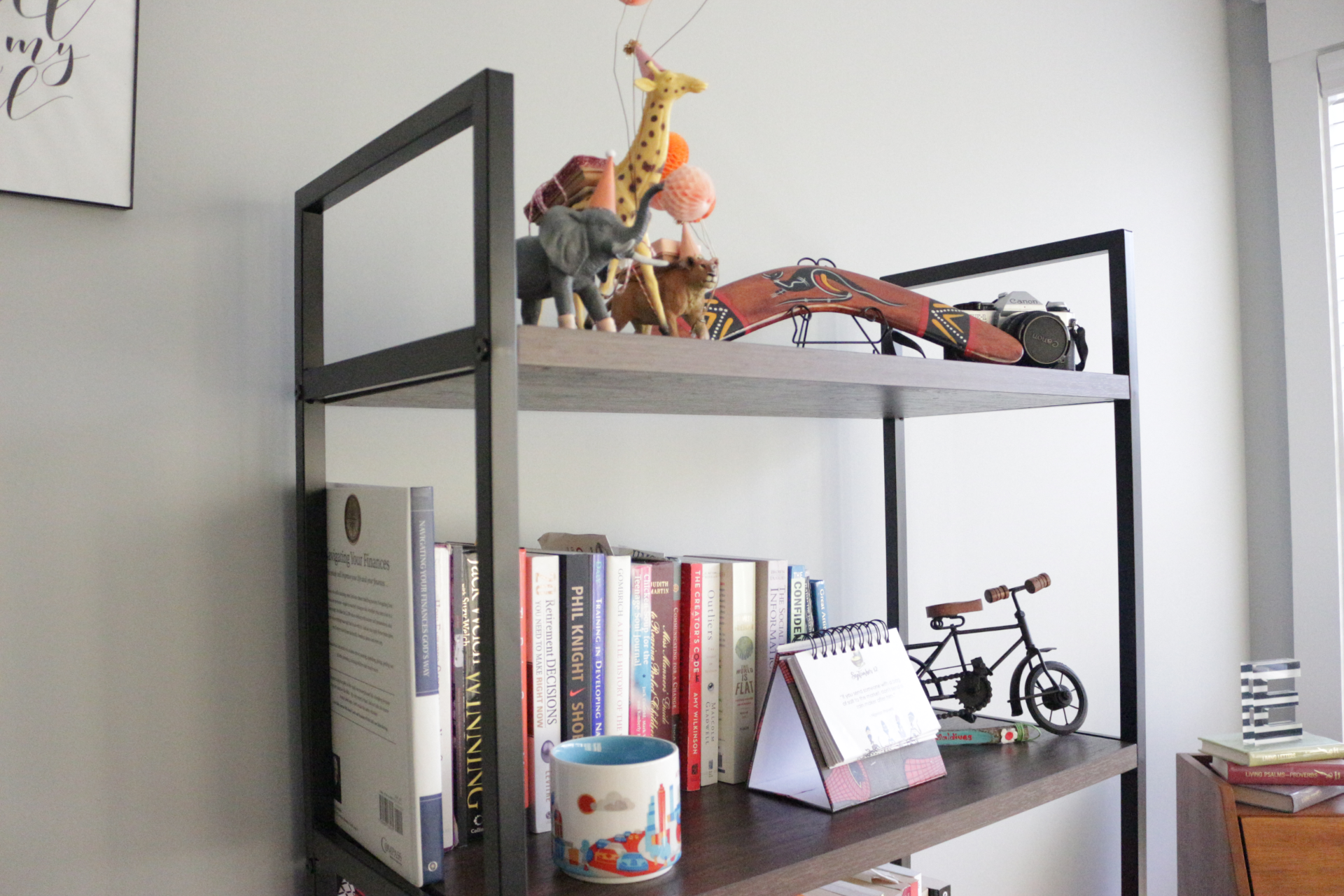 a picture of a bookcase zoomed in