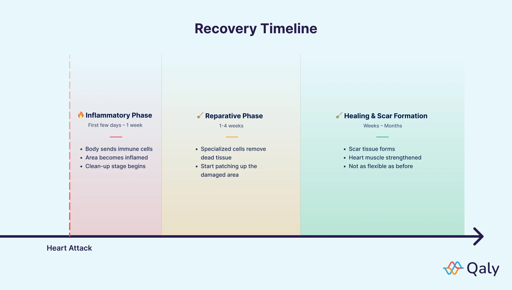 recovery timeline - heart attack recovery