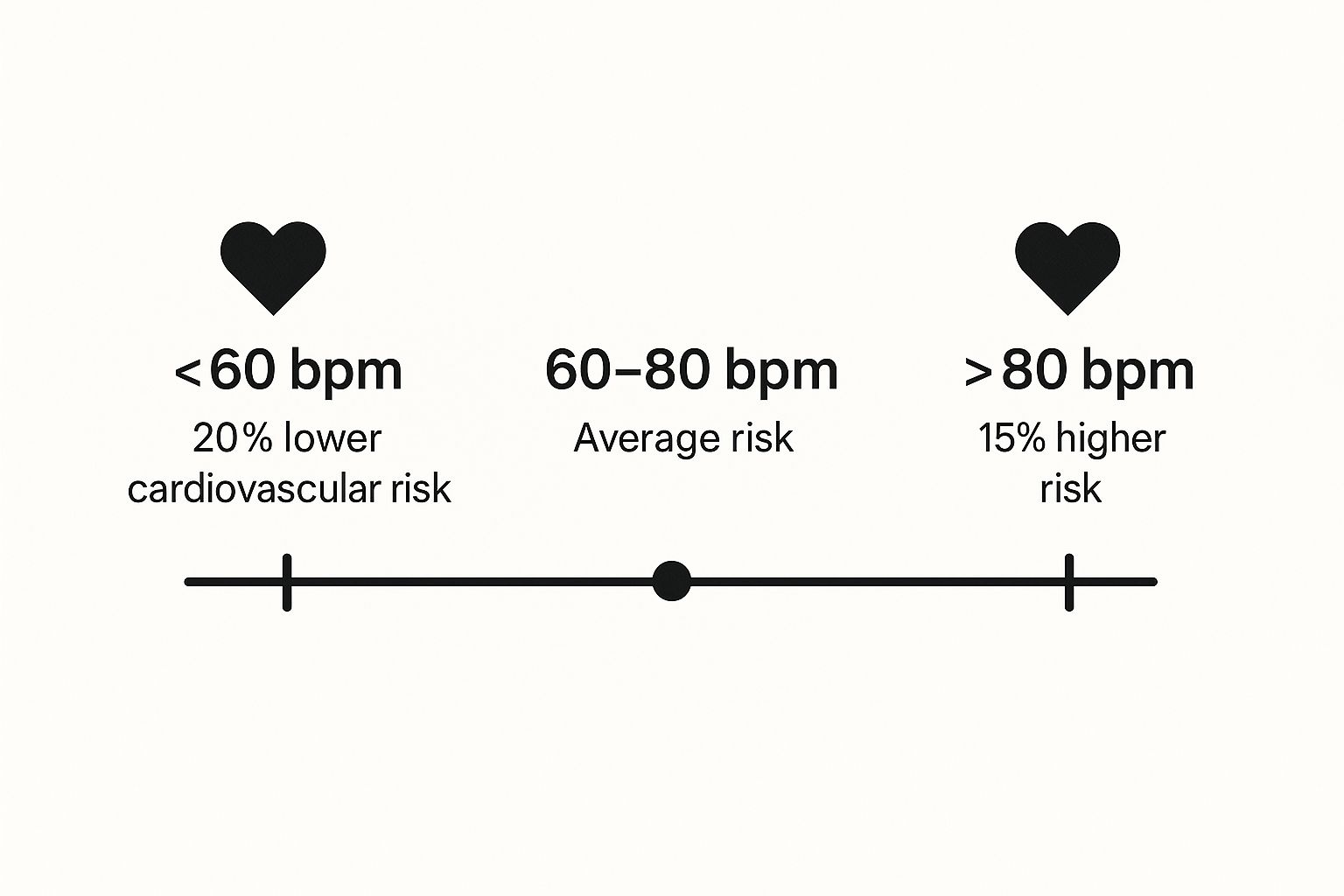 Infographic about normal cardiac rate