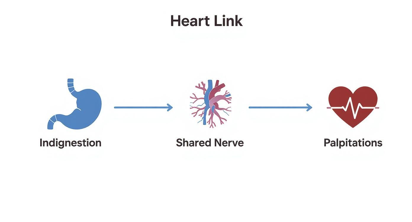 Infographic about indigestion and heart palpitations
