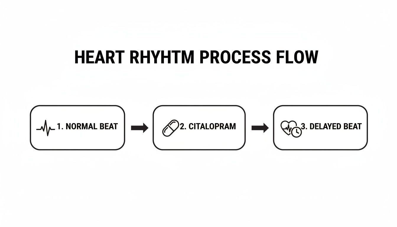 A flow chart illustrating Citalopram causing a delayed heart beat from a normal rhythm.