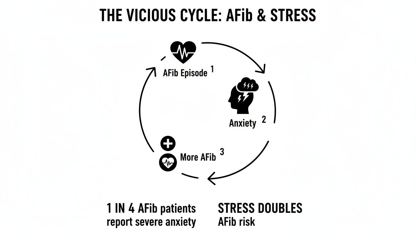 Diagram illustrating the vicious cycle between AFib episodes, anxiety, and increased AFib risk.