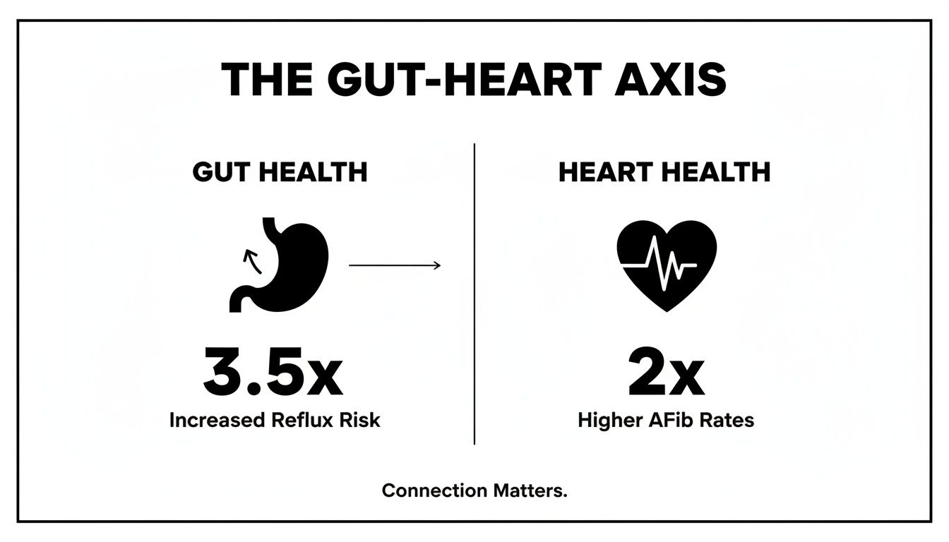 Diagram illustrating the gut-heart axis, showing increased reflux risk from gut health impacting heart health.