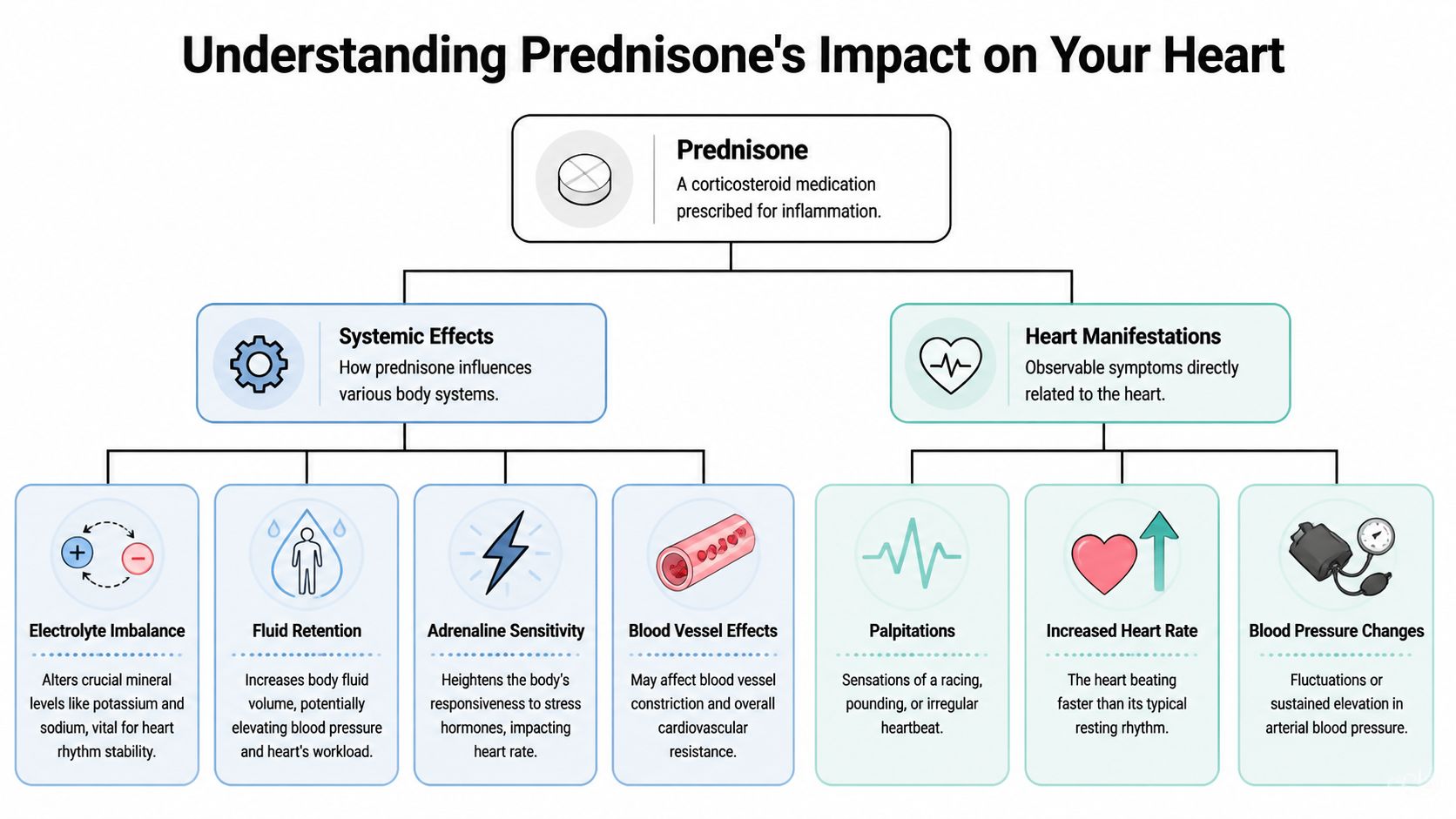 A diagram illustrating how the medication prednisone causes systemic effects and heart manifestations like palpitations.