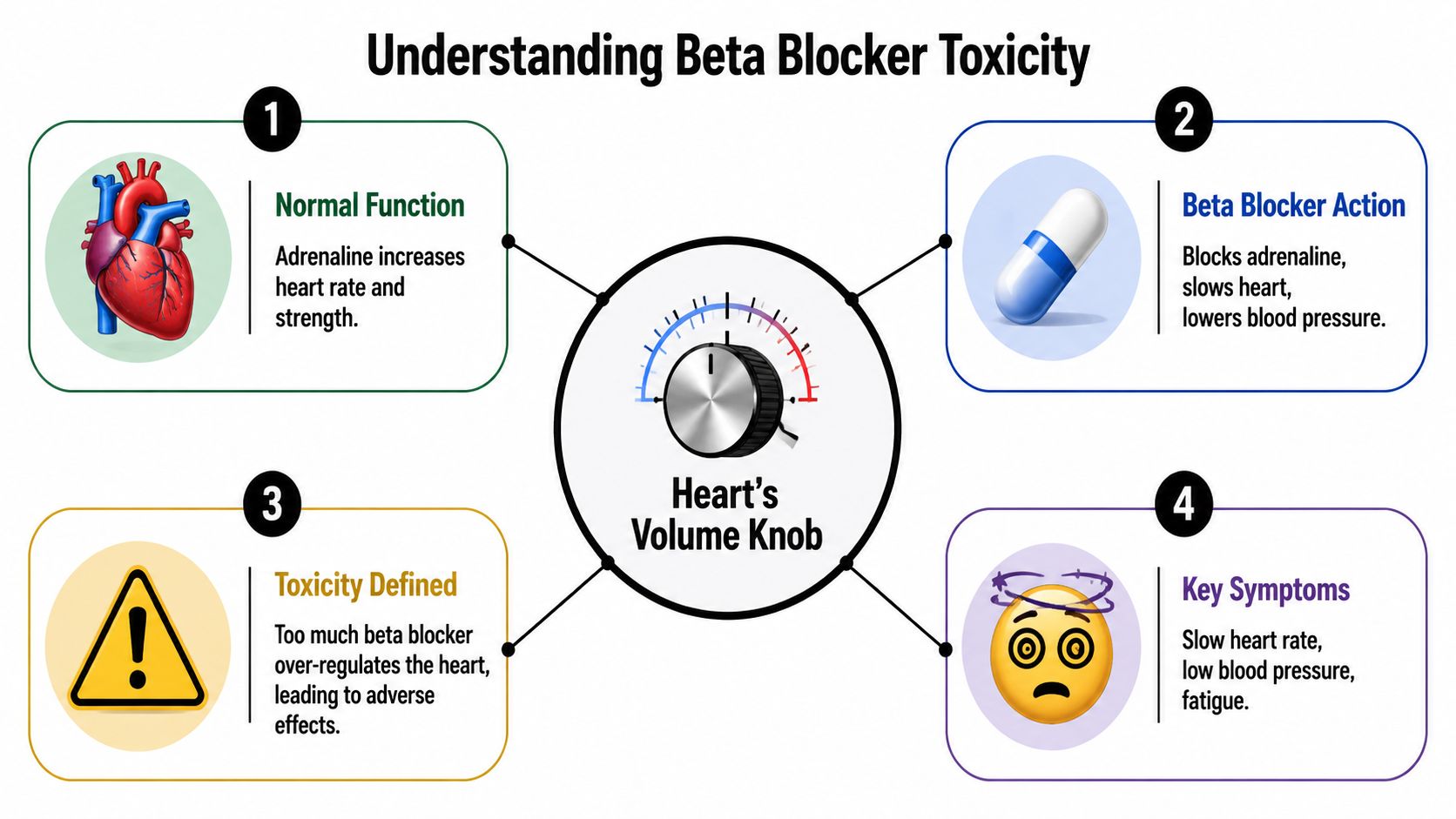 An infographic explaining beta blocker toxicity through normal heart function, medication action, definition, and key symptoms.