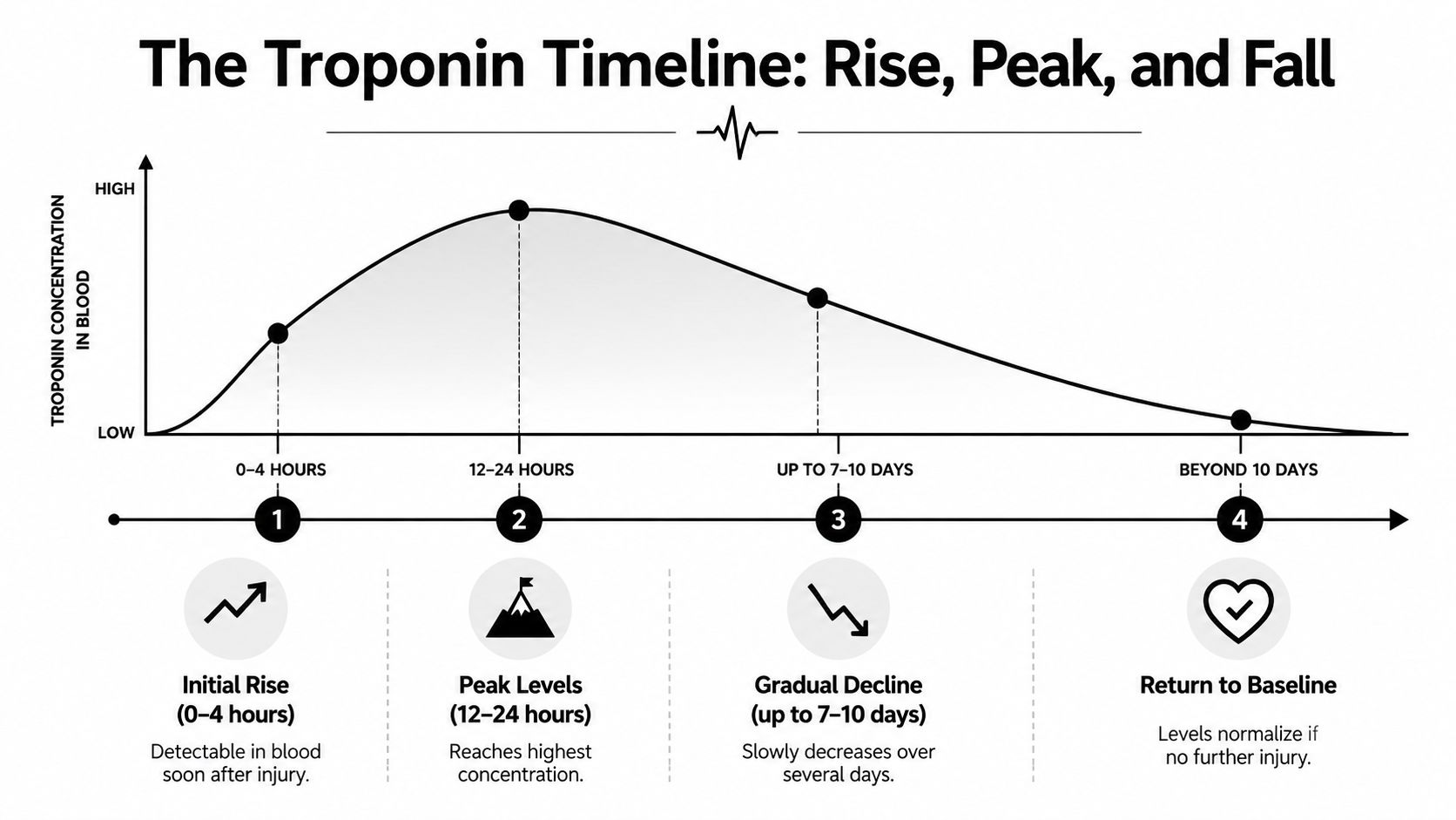 A line graph illustrating the timeline of troponin levels in blood following a cardiac injury event.