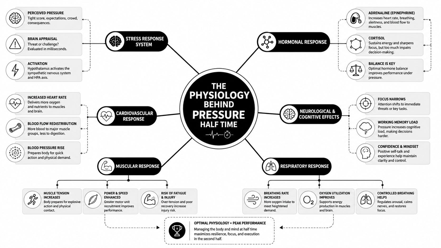 An infographic showing the physiological responses to pressure during halftime, including hormonal, cardiovascular, muscular, and respiratory effects.