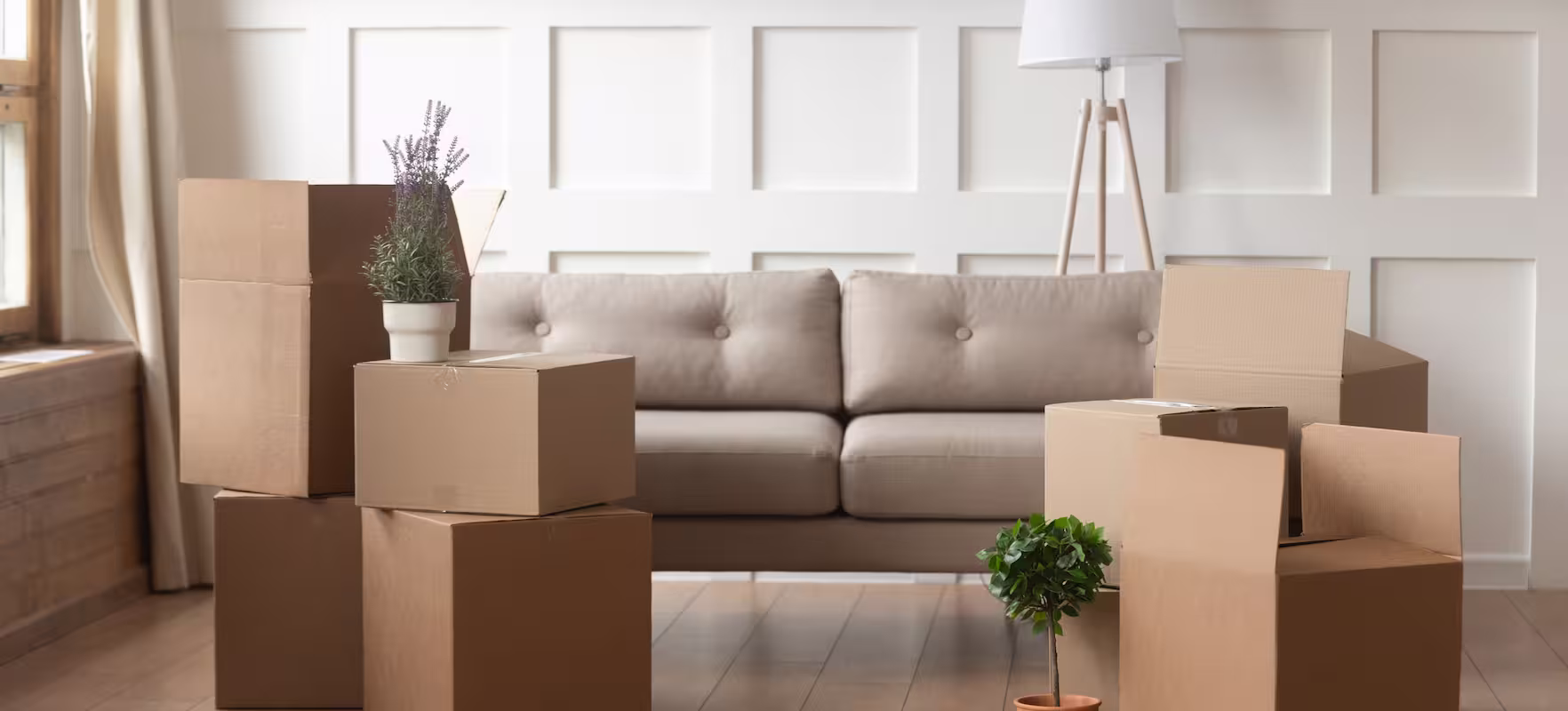 The Story of a Chicago Moving Company