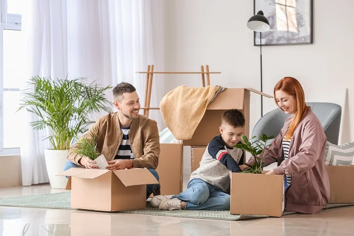 movers streamwood il