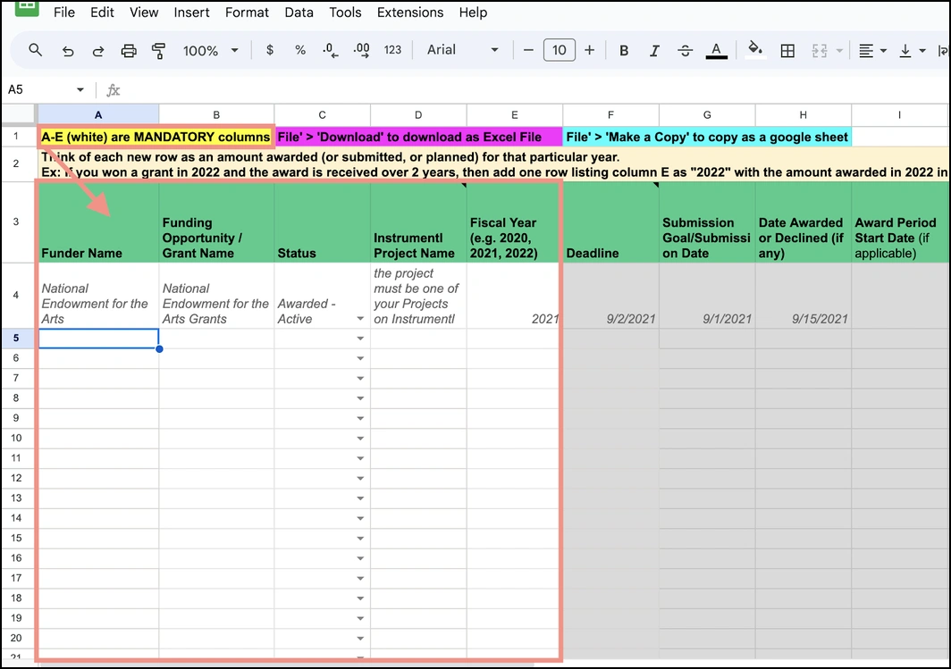 Columns A-E are mandatory to fill out