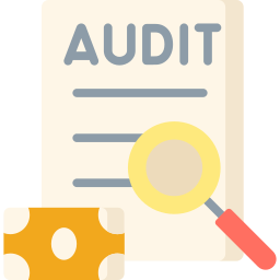 Audit