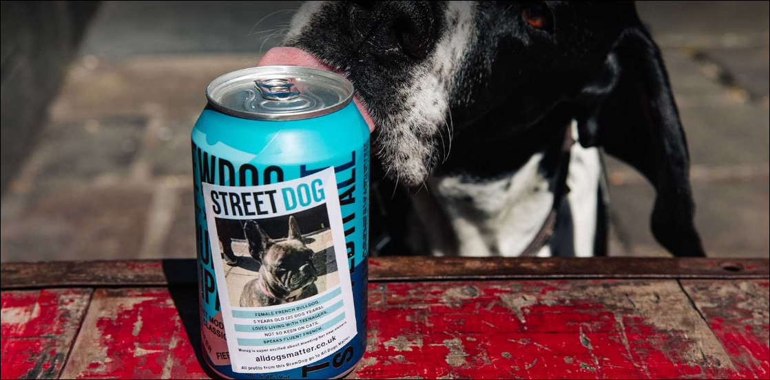 Dogs on the Streets and All Dogs Matter