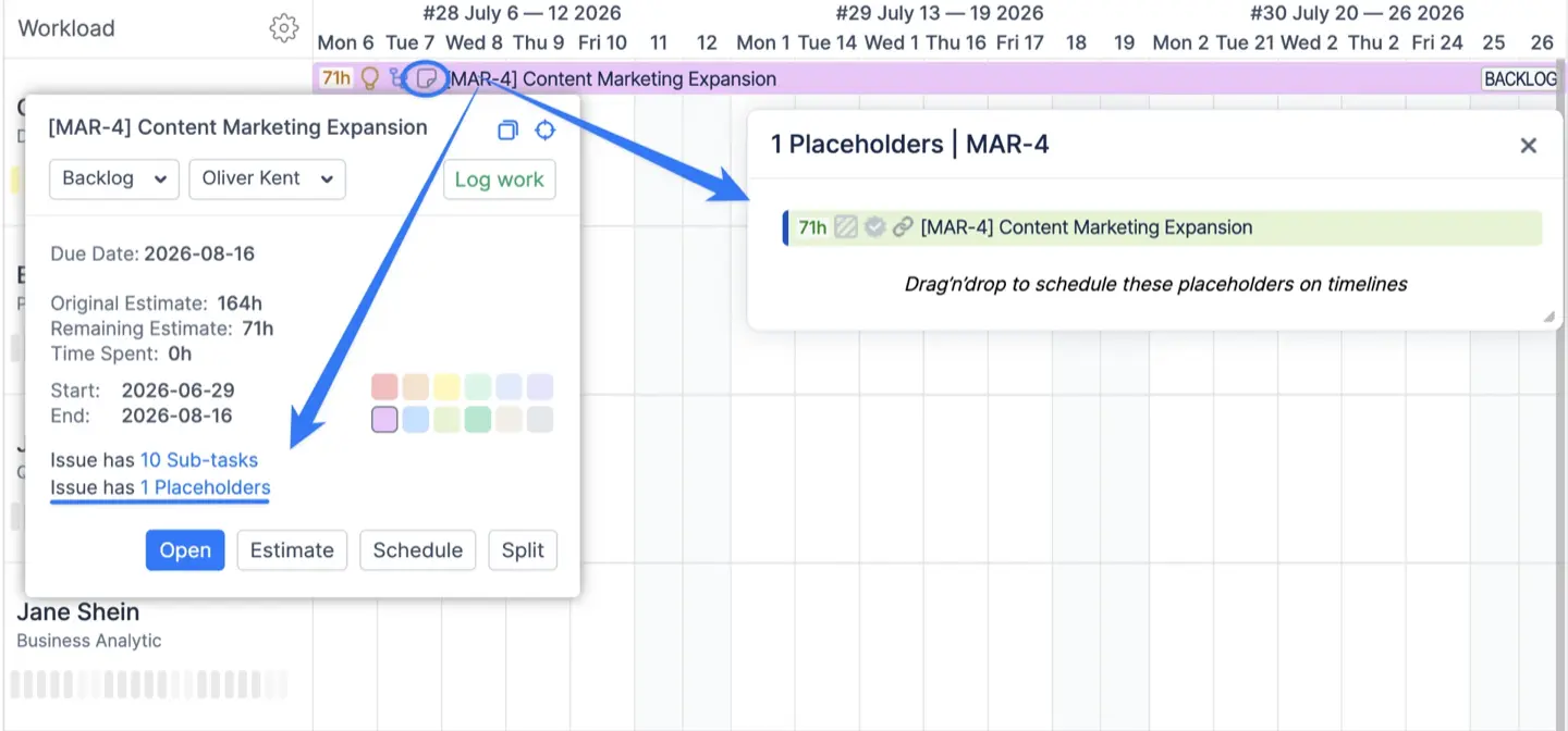 An issue named after the project open as a card with the placeholders visible.