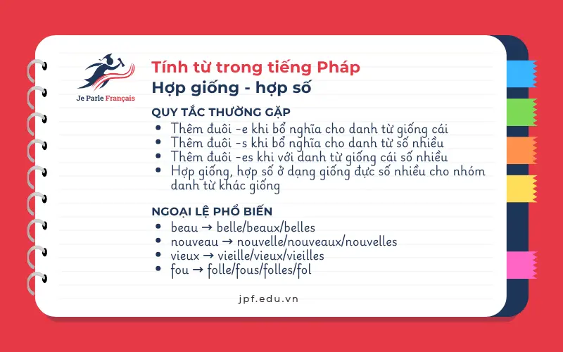tinh-tu-tieng-phap
