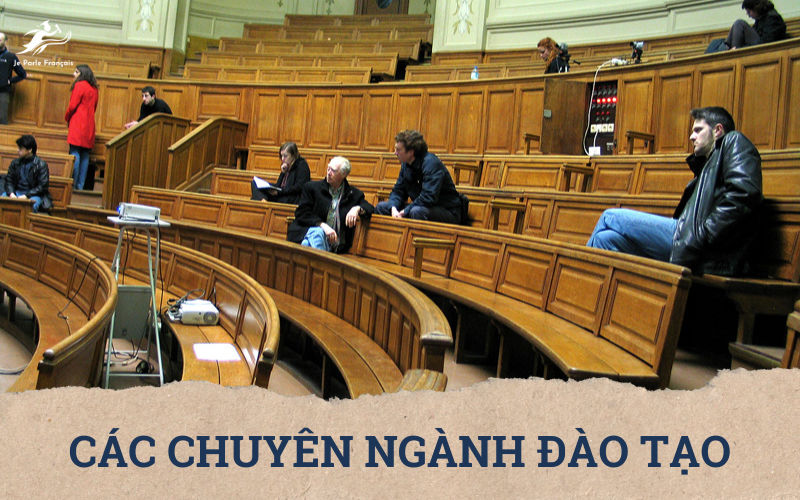 Các chuyên ngành tại trường đại học Sorbonne