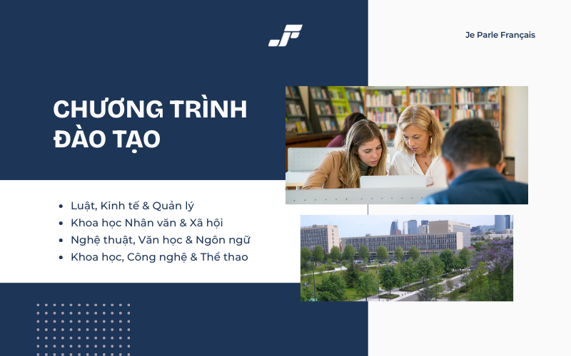 Các lĩnh vực đào tạo chính tại Đại học Paris Nanterre