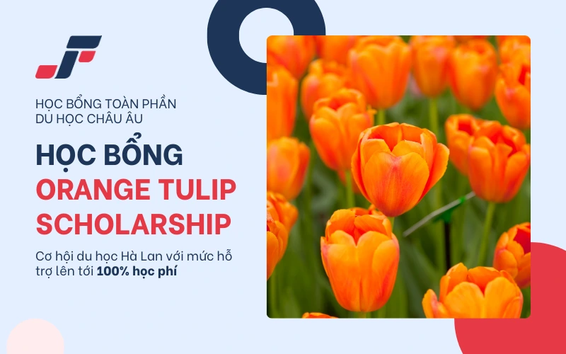 Top 5 học bổng toàn phần du học châu Âu: Học bổng Orange Tulip Scholarship