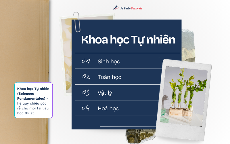 Từ Vựng Tiếng Pháp Chủ Đề Khoa Học