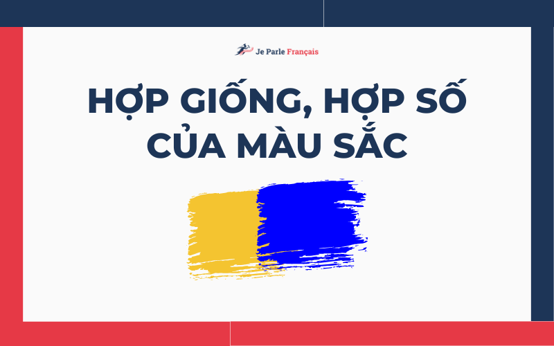 Cách sử dụng từ vựng chỉ màu sắc trong tiếng Pháp