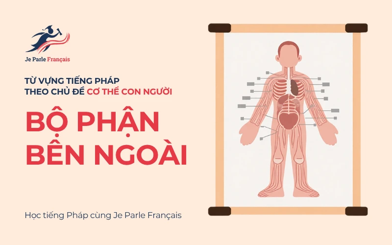 Các bộ phận cơ thể trong tiếng Pháp.