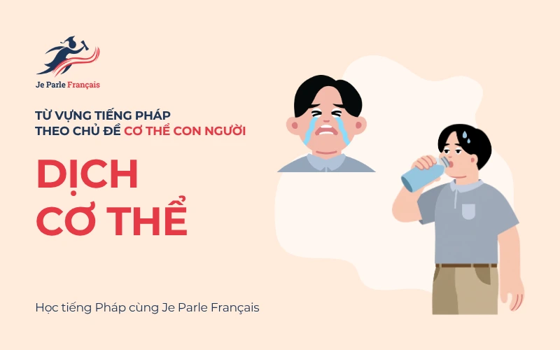 Từ vựng tiếng Pháp về các loại dịch cơ thể.