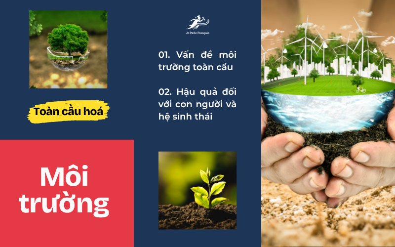 Từ vựng tiếng Pháp chủ đề Toàn cầu hóa về Môi trường