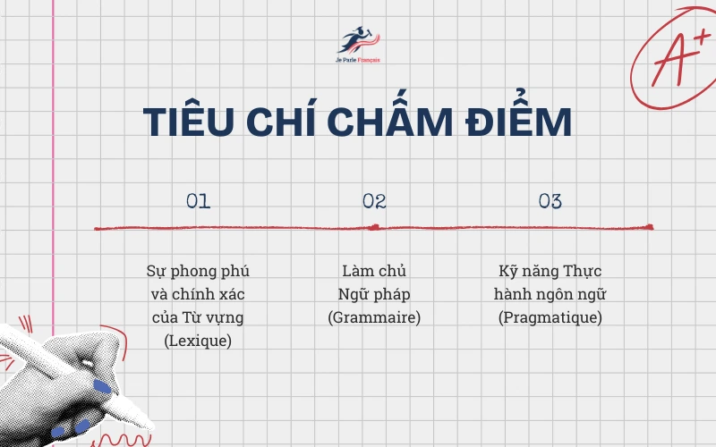 Chinh phục bằng DELF B2 nhờ nắm chắc tiêu chí chấm điểm của giám khảo