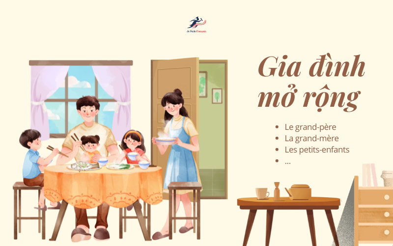 Từ vựng tiếng Pháp về các thành viên khác trong gia đình