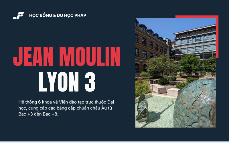 ‍Đa dạng chương trình đào tạo và viện đào tạo tại Đại học Lyon 3