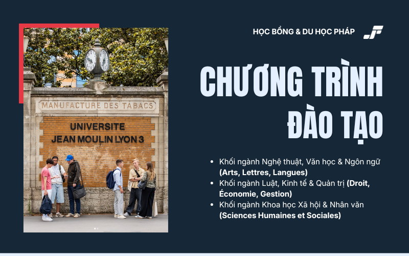 Chương trình đào tạo theo các khối ngành tại Đại học Lyon 3