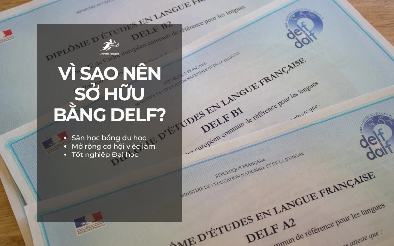 Nên Luyện Thi DELF Khi Nào