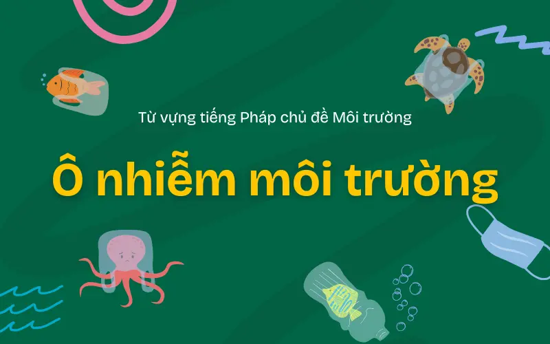 Tổng hợp từ vựng tiếng Pháp chủ đề môi trường - Ô nhiễm môi trường