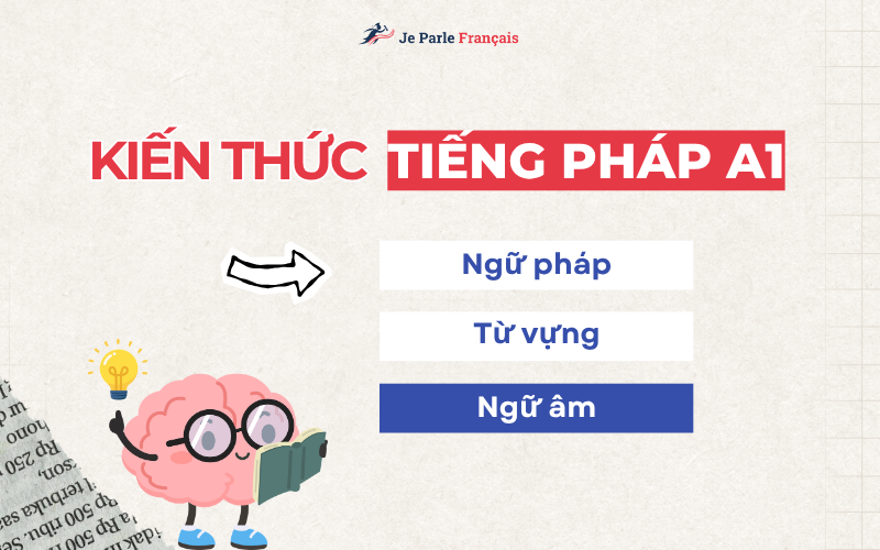 Bạn cần nắm vững những kiến thức gì ở trình độ A1 tiếng Pháp?