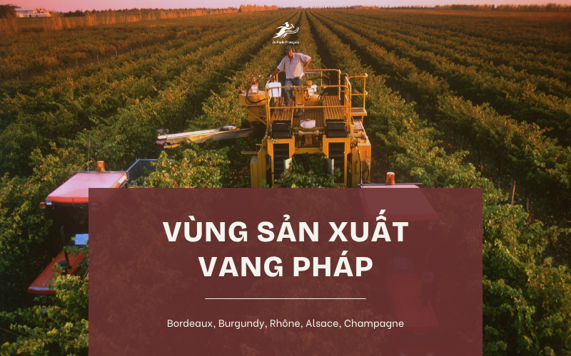 Năm vùng đất trồng nho và sản xuất rượu vang Pháp nổi tiếng