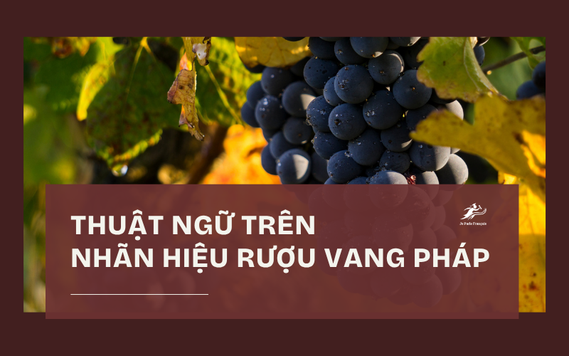 Đọc hiểu những thuật ngữ trên nhãn hiệu rượu vang Pháp