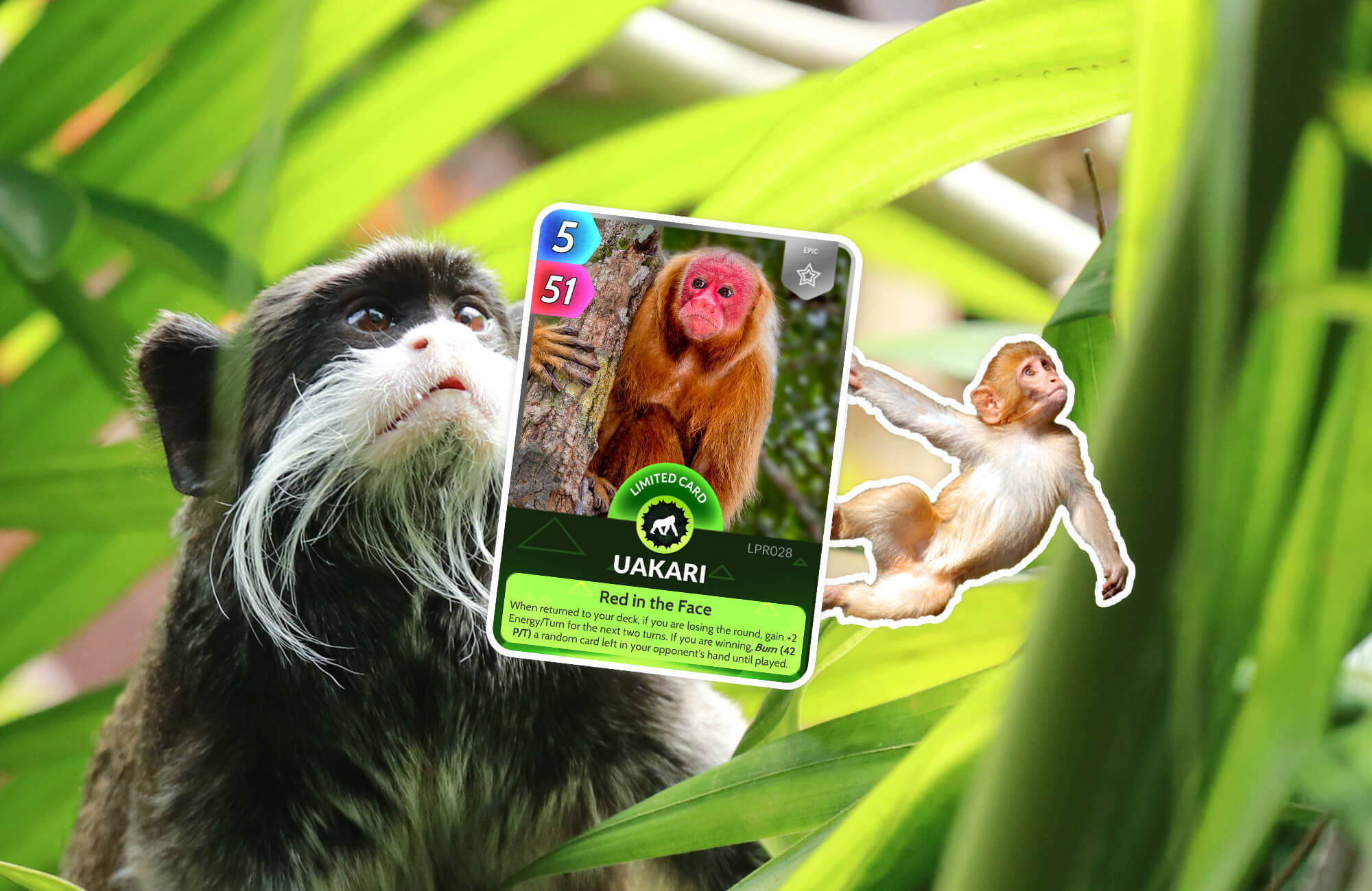 The new primates pack showing the Uakari card